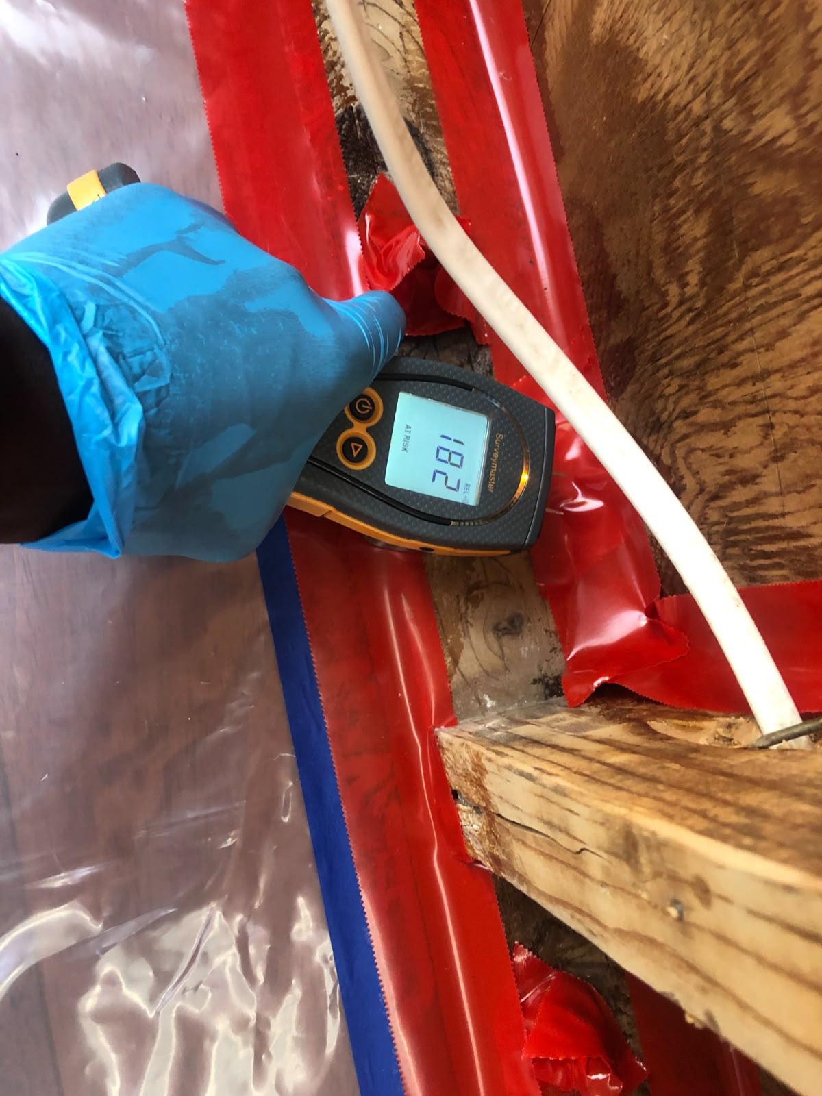Mold inspection and air sampling in a moisture-damaged building area